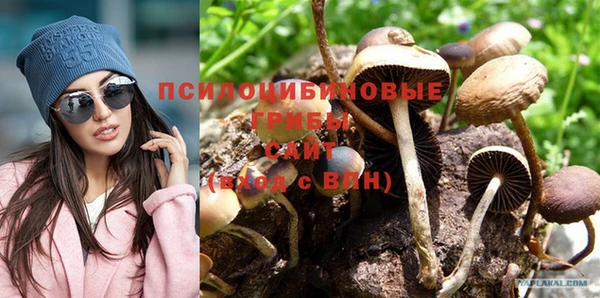 винт Нягань