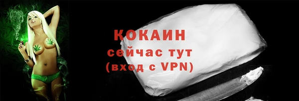 винт Нягань