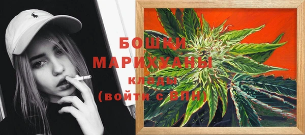 винт Нягань